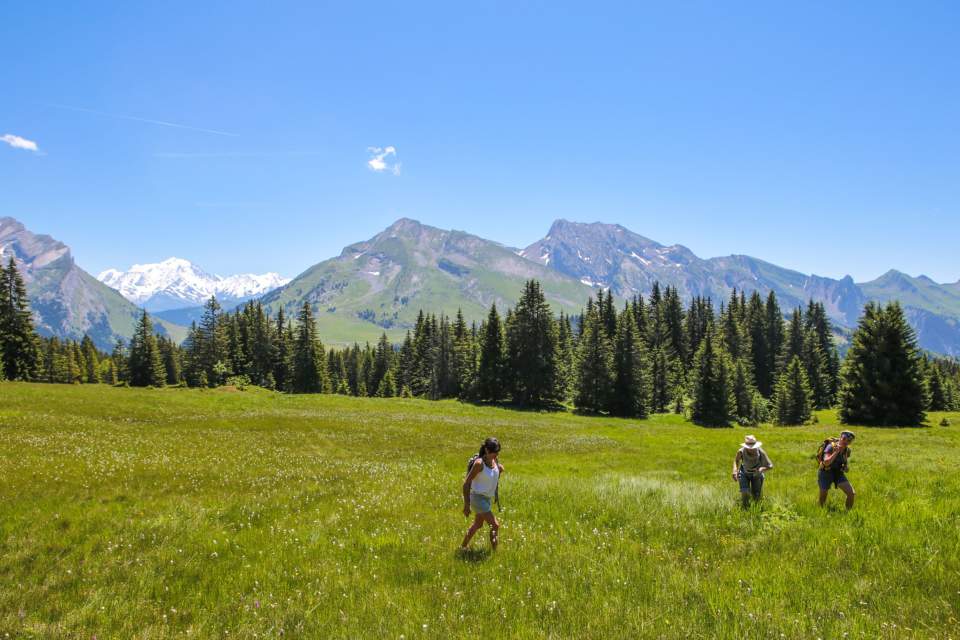 Plaine en extérieure entourée d'arbres pour des randonnées bien-être en Haute-Savoie, depuis le Chalet Hôtel de la Croix Fry, hôtel spa La Clusaz